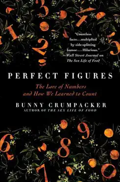 perfect figures book cover image