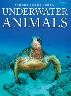 underwater animals book cover image