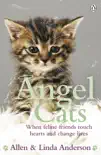Angel Cats sinopsis y comentarios