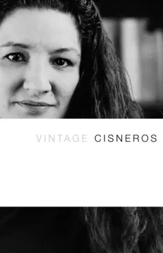 vintage cisneros book cover image