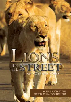 lions in the street book cover image