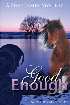 good enough: a shay james mystery book cover image