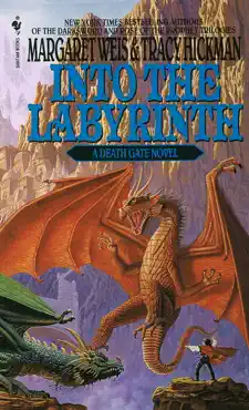 into the labyrinth book cover image