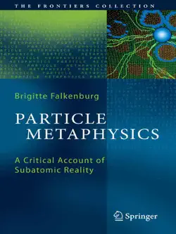 particle metaphysics book cover image