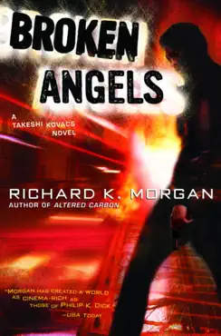 broken angels book cover image