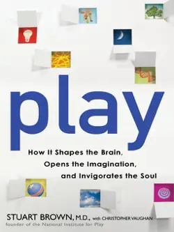 play book cover image