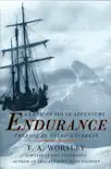 Endurance: An Epic of Polar Adventure sinopsis y comentarios