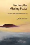 Finding the Missing Peace reviews