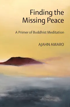 finding the missing peace book cover image