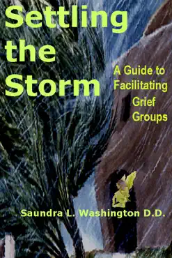 settling the storm book cover image
