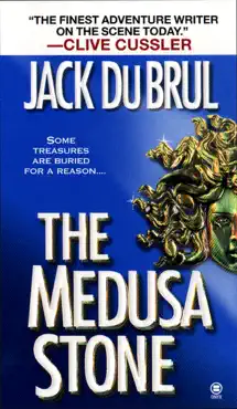 the medusa stone book cover image
