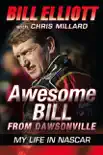 Awesome Bill from Dawsonville synopsis, comments