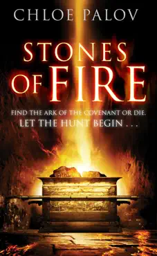 stones of fire imagen de la portada del libro