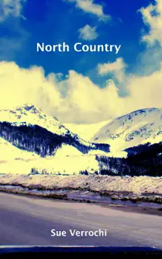 north country imagen de la portada del libro