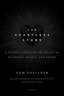 the heartless stone book cover image