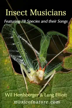 insect musicians book cover image