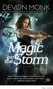 magic on the storm book cover image