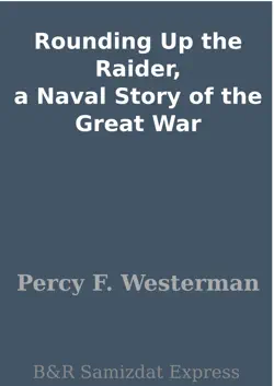 rounding up the raider, a naval story of the great war book cover image