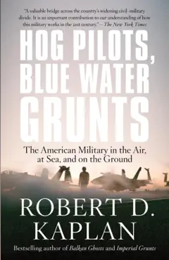 hog pilots, blue water grunts book cover image