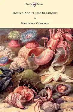 round about the seashore - with eight coloured pictures book cover image