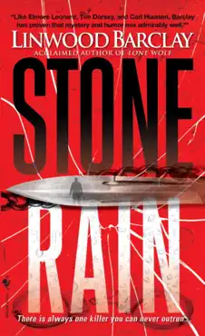 stone rain book cover image