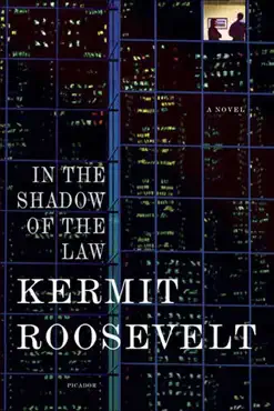in the shadow of the law book cover image
