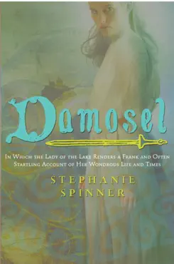 damosel book cover image