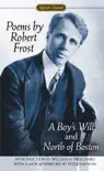 Poems by Robert Frost synopsis, comments