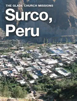 surco, peru book cover image