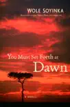 You Must Set Forth at Dawn synopsis, comments