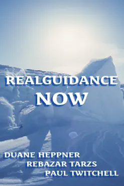 realguidance now book cover image