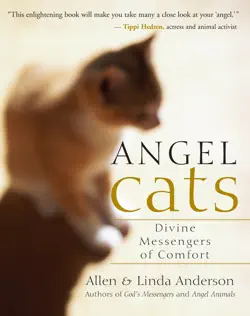 angel cats book cover image