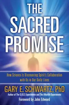 the sacred promise book cover image