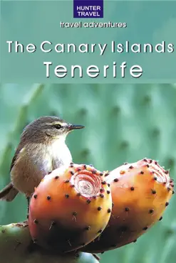 the canary islands - tenerife book cover image