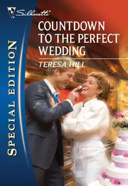 countdown to the perfect wedding book cover image