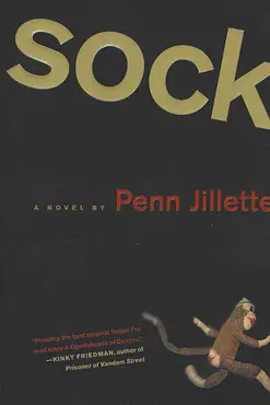 sock book cover image