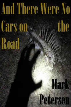 and there were no cars on the road book cover image