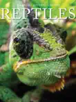 Reptiles synopsis, comments