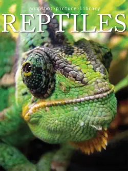 reptiles imagen de la portada del libro
