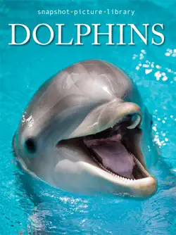 dolphins book cover image
