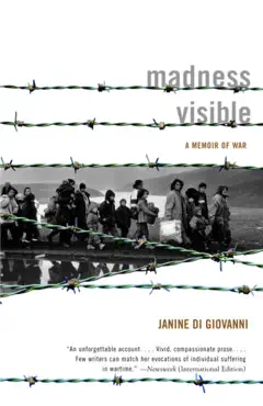 madness visible book cover image