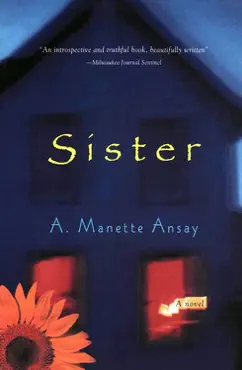 sister book cover image