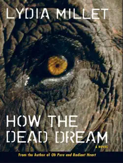how the dead dream book cover image
