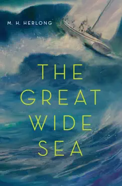the great wide sea book cover image