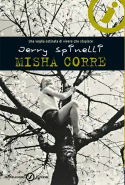 misha corre book cover image