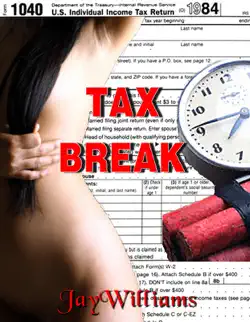 tax break book cover image