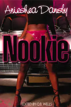 nookie book cover image