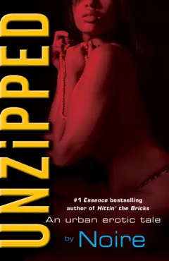 unzipped book cover image