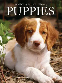 puppies book cover image