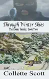 Through Winter Skies sinopsis y comentarios